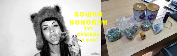 apvp Арсеньев