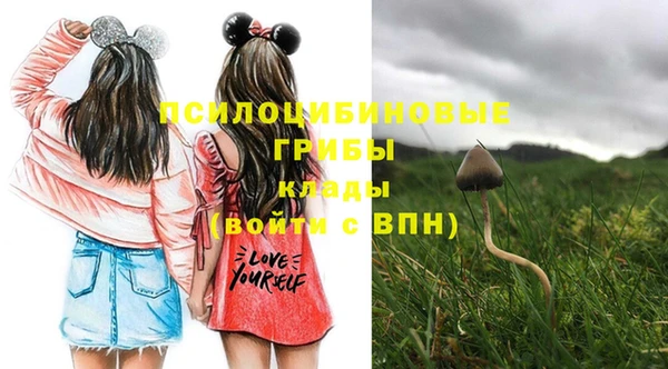 индика Армянск