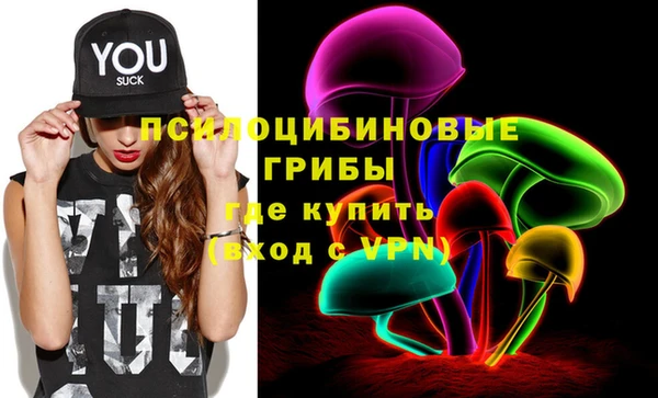 индика Армянск