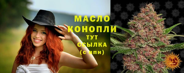 амф Долгопрудный