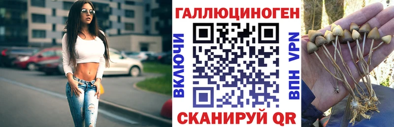 Галлюциногенные грибы мицелий Закаменск